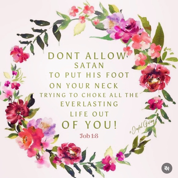 Jenny McNicol - Picture 6 of 8